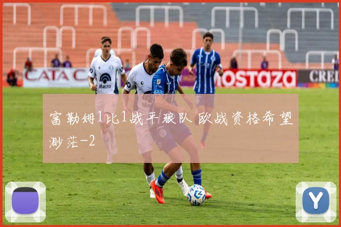 富勒姆1比1战平狼队 欧战资格希望渺茫