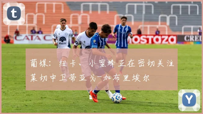 葡媒：纽卡、小蜜蜂正在密切关注莱切中卫蒂亚戈-加布里埃尔