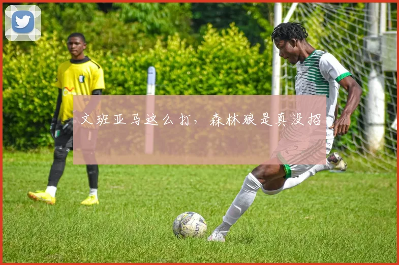 文班亚马这么打，森林狼是真没招