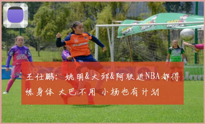 王仕鹏：姚明&大郅&阿联进NBA都得练身体 大巴不用 小杨也有计划