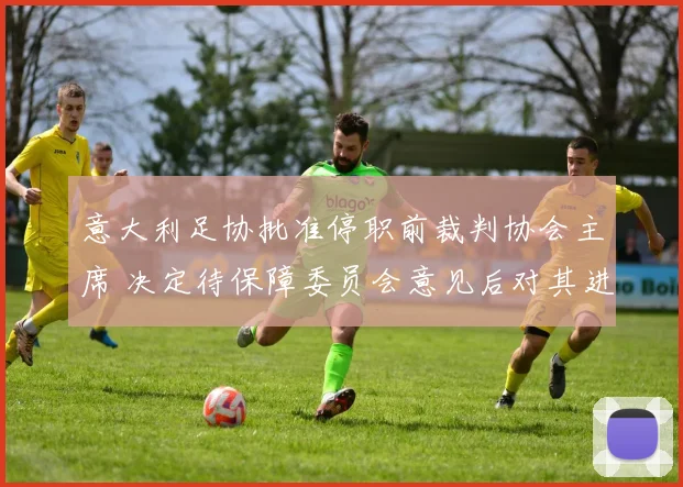 意大利足协批准停职前裁判协会主席 决定待保障委员会意见后对其进行托管