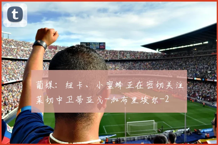 葡媒：纽卡、小蜜蜂正在密切关注莱切中卫蒂亚戈-加布里埃尔