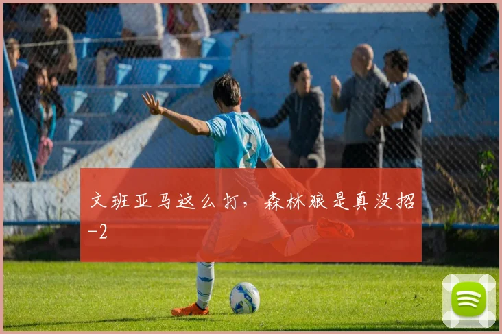 文班亚马这么打，森林狼是真没招